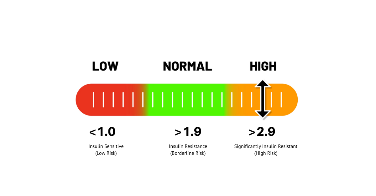 IR results scale https://chiralbalance.com/product_images/uploaded_images/homa-ir-scores-table.png