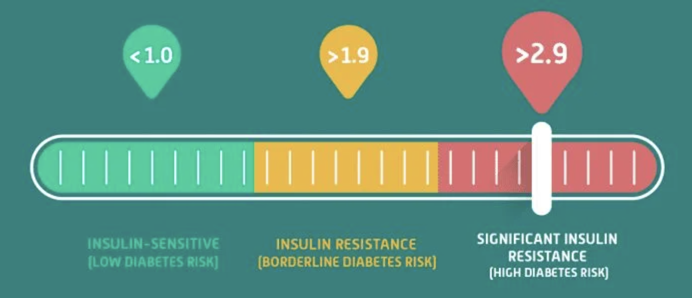 IR results scale